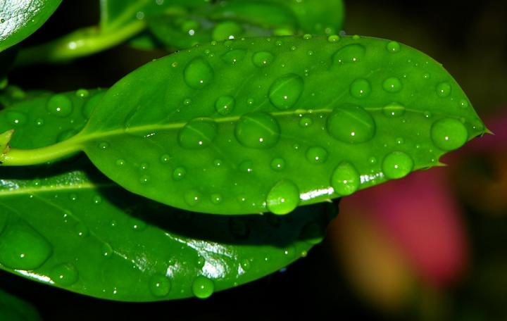 Ad:  blad.jpg
Gsterim: 294
Boyut:  33.3 KB