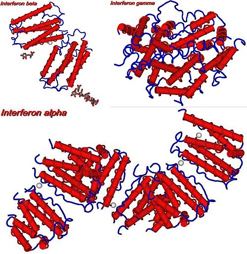 Ad:  interferon.jpg
Gsterim: 1954
Boyut:  74.4 KB