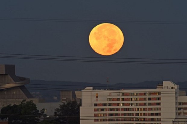 Ad:  ,Xb_qM9C1wUmJvxofHBS4xw.jpg
Gsterim: 769
Boyut:  28.4 KB