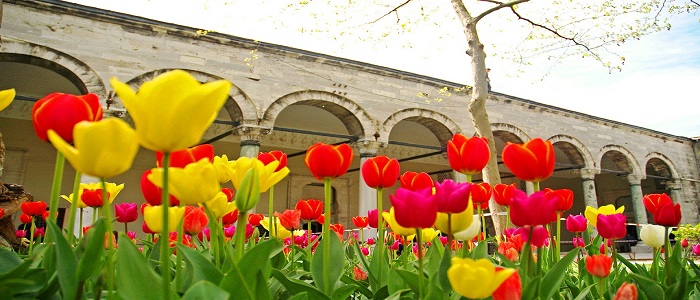 Ad:  lale-devrindeki-yenilikler.jpg
Gsterim: 1079
Boyut:  113.5 KB