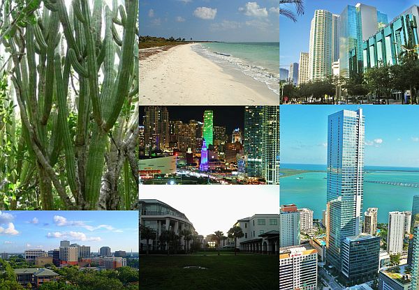 Ad: Florida3.jpg
Gösterim: 591
Boyut: 78.8 KB