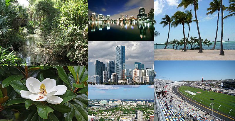 Ad: Florida5.jpg
Gösterim: 509
Boyut: 110.7 KB