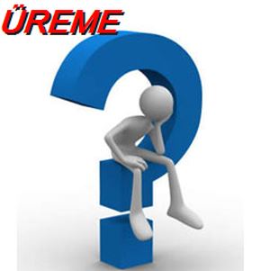 Ad: üreme.JPG
Gösterim: 522
Boyut: 17.2 KB