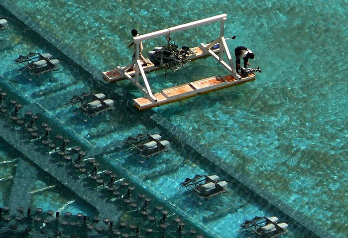 Ad: 13.jpg
Gösterim: 350
Boyut: 157.2 KB