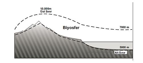 Ad:  1.JPG
Gsterim: 1112
Boyut:  20.5 KB