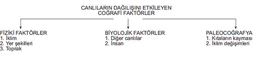 Ad: 1.JPG
Gösterim: 1932
Boyut: 17.0 KB