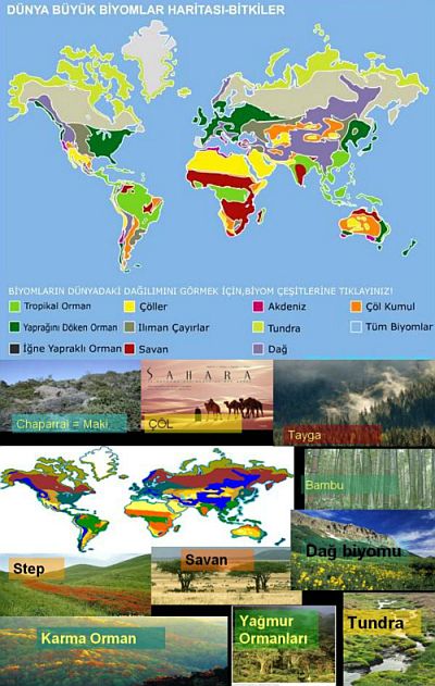 Ad:  biyom.jpg
Gsterim: 9003
Boyut:  61.8 KB