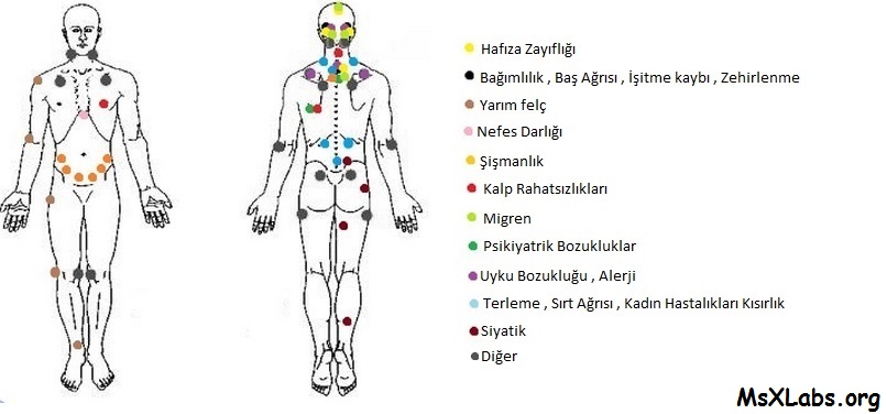 Ad:  hacamat_2.jpg
Gsterim: 11728
Boyut:  91.1 KB