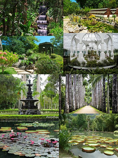 Ad:  Rio de Janeiro Botanik Bahesi.jpg
Gsterim: 864
Boyut:  148.5 KB