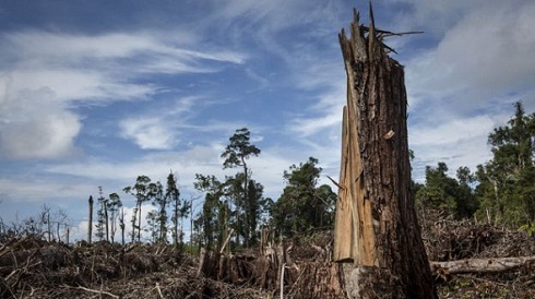 Ad:  _93645413_gettyimages-623247604.jpg
Gsterim: 645
Boyut:  58.2 KB