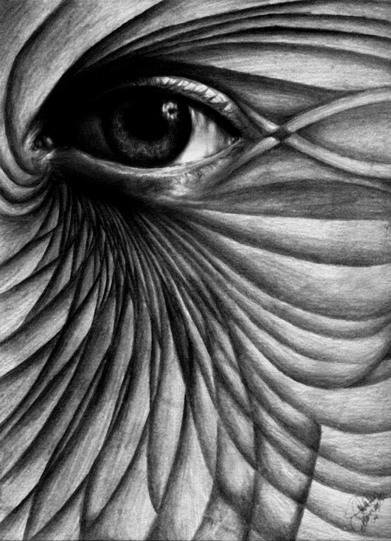 Ad:  1.jpg
Gsterim: 14574
Boyut:  180.0 KB