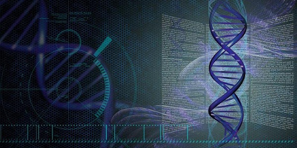 Ad:  58b81fd76ce4362198c0e90b.jpg
Gsterim: 491
Boyut:  97.3 KB