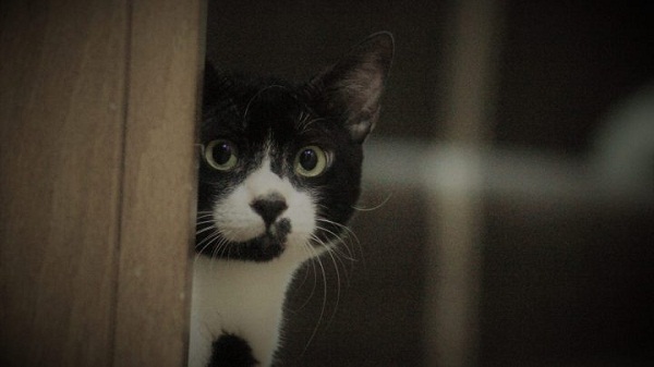 Ad:  IMG_4633-720x405.jpg
Gsterim: 605
Boyut:  44.1 KB