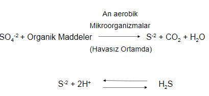 Ad: 2.JPG
Gösterim: 655
Boyut: 16.6 KB