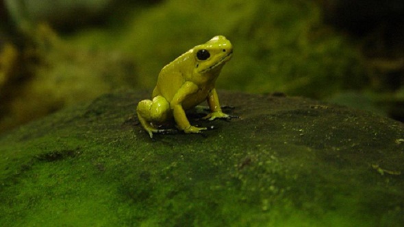 Ad:  thumbs_b_c_18b46e390a2a3b384ae45137f449bce4.jpg
Gsterim: 527
Boyut:  53.4 KB