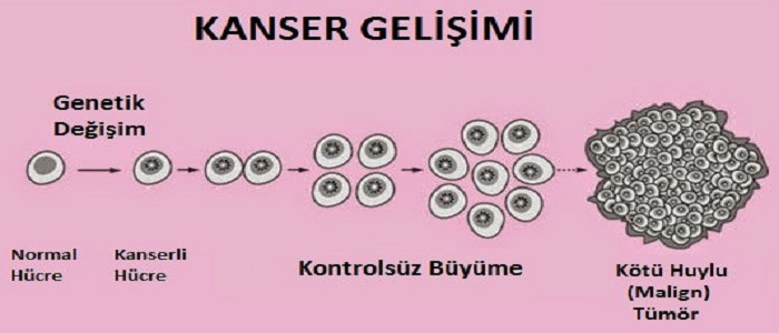 Ad:  kanser-gelisimi.jpg
Gsterim: 1255
Boyut:  54.0 KB