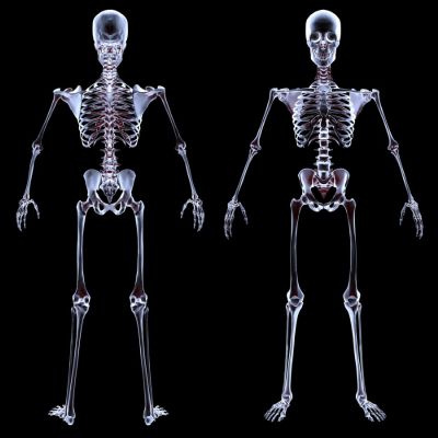 Ad:  kemik.jpg
Gsterim: 10671
Boyut:  19.2 KB