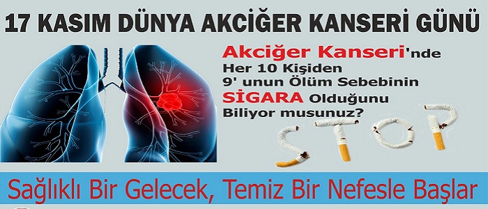 Ad:  akcigerkanserigunu.jpg
Gsterim: 1475
Boyut:  95.4 KB