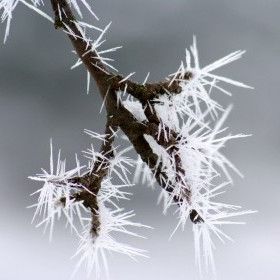 Ad:  Kristalleme.jpg
Gsterim: 1384
Boyut:  15.3 KB