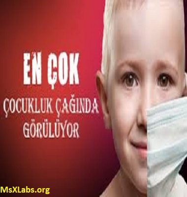 Ad:  lsemii.jpg
Gsterim: 1629
Boyut:  37.6 KB