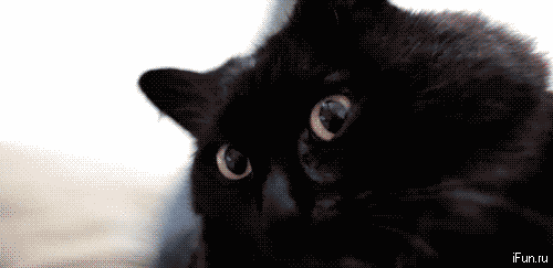 Ad:  2.gif
Gsterim: 382
Boyut:  515.1 KB