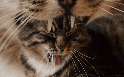 Ad:  7.gif
Gsterim: 673
Boyut:  750.3 KB