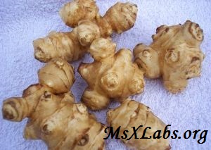 Ad: Yer Elmasının Faydaları.jpg
Gösterim: 771
Boyut: 28.4 KB