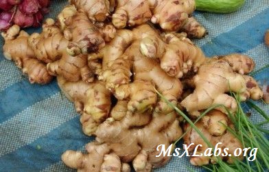 Ad: yer elması.jpg
Gösterim: 1269
Boyut: 47.4 KB