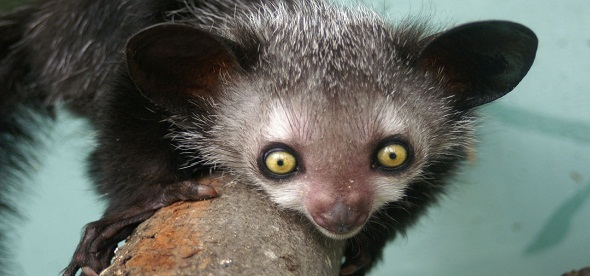 Ad:  d28d857e5961d79e60510f55c6736289.jpg
Gsterim: 2311
Boyut:  61.9 KB