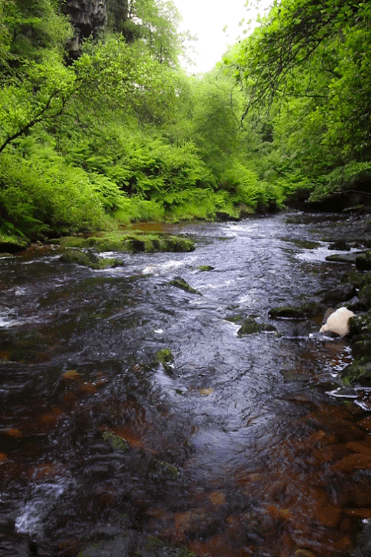 Ad:  gif-61.gif
Gsterim: 533
Boyut:  1.92 MB