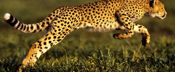 Ad: d56PHIFzfUa27Y1ehXrSZQ.jpg
Gösterim: 717
Boyut: 68.4 KB