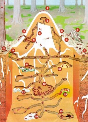 Alıntıdaki Ek 63163