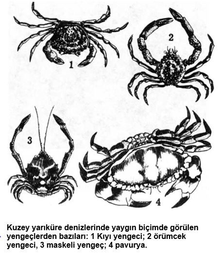 Ad: 1.JPG
Gösterim: 1207
Boyut: 61.1 KB