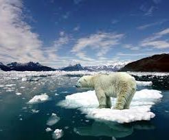 Ad: Antarktika-5.jpg
Gösterim: 934
Boyut: 11.0 KB