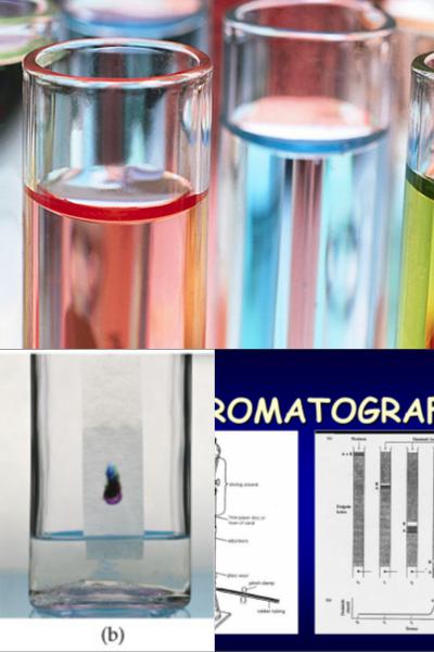 Ad:  kromatografi.jpg
Gsterim: 2178
Boyut:  33.6 KB