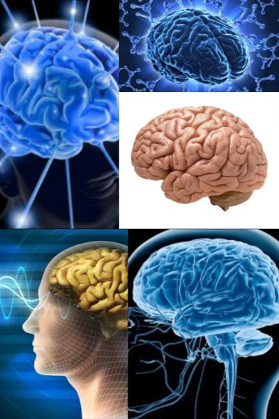 Ad:  Beyin-2.jpg
Gsterim: 3112
Boyut:  45.3 KB