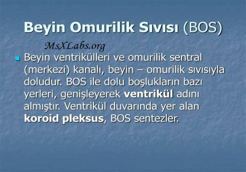 Ad: beyin-omurilik sıvısı.jpg
Gösterim: 714
Boyut: 33.7 KB Ad: beyin-omurilik sıvısı.jpg
Gösterim: 714
Boyut: 33.7 KB