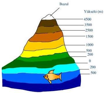 Ad:  1.JPG
Gsterim: 1210
Boyut:  24.2 KB