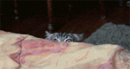 Ad:  3.gif
Gsterim: 614
Boyut:  2.32 MB