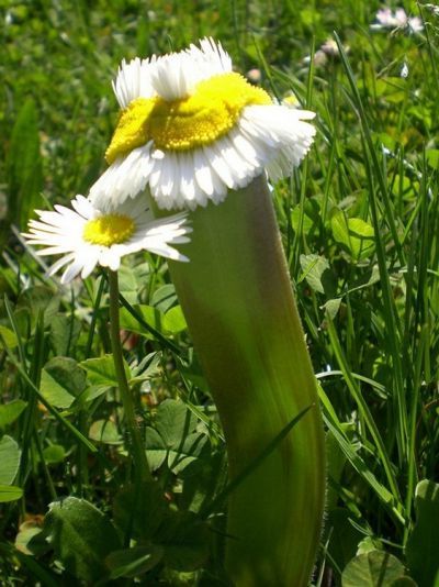 Ad:  6.jpg
Gsterim: 645
Boyut:  46.5 KB