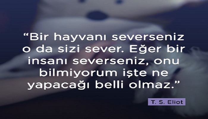 Ad:  ELOT t.jpg
Gsterim: 924
Boyut:  71.9 KB