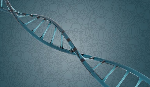 Ad: yiyecek_genler_dna.jpg
Gösterim: 369
Boyut: 47.1 KB