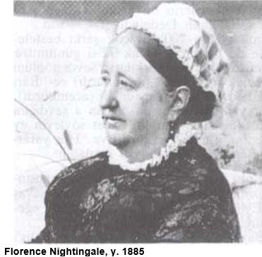 Al�nt�daki Ek 64021
