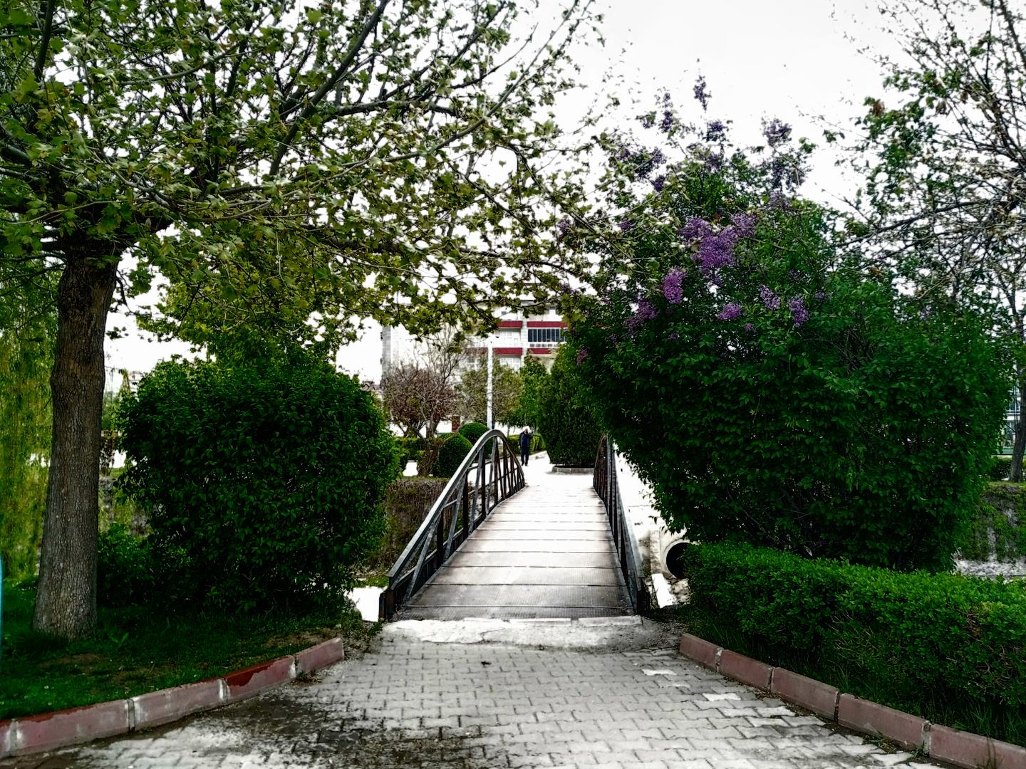 Al�nt�daki Ek 64085