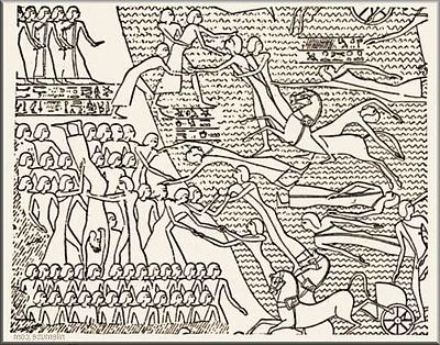 Ad:  11.jpg
Gsterim: 778
Boyut:  61.9 KB