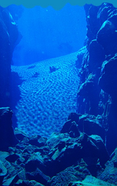 Ad: left_bottom.jpg
Gösterim: 641
Boyut: 80.0 KB