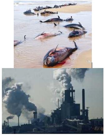 Ad:  1.jpg
Gsterim: 5404
Boyut:  29.2 KB