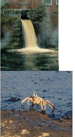 Ad:  i.JPG
Gsterim: 5073
Boyut:  30.9 KB