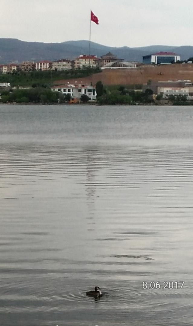 Ad:  IMG_20170609_102454.jpg
Gsterim: 315
Boyut:  60.5 KB