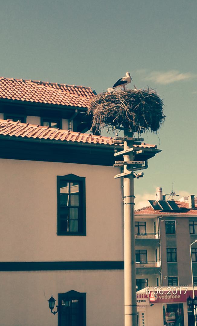 Ad:  IMG_20170609_102426.jpg
Gsterim: 414
Boyut:  78.3 KB